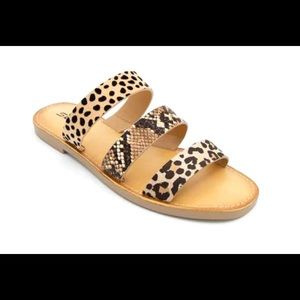 Soda Brand Slide, Mixed Animal Print, Cute Slide